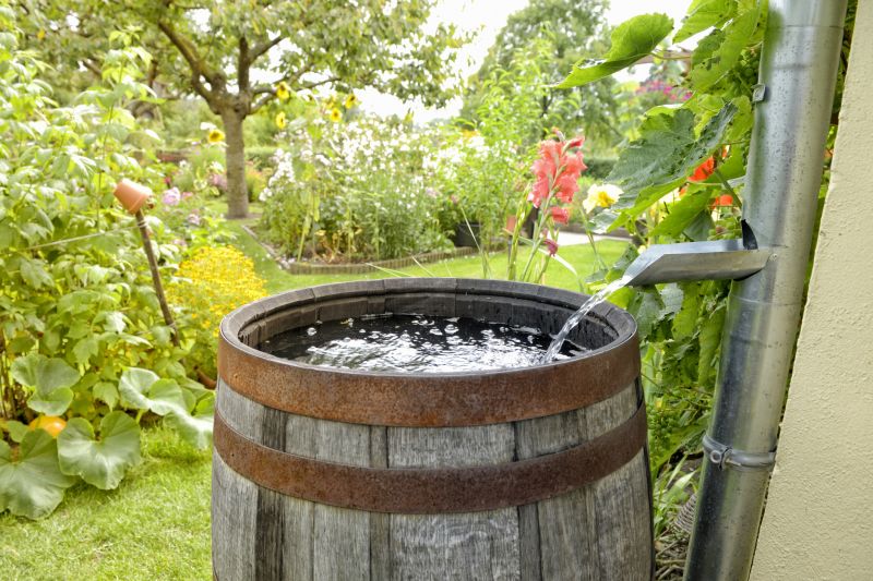 Rainwater Harvesting Setup